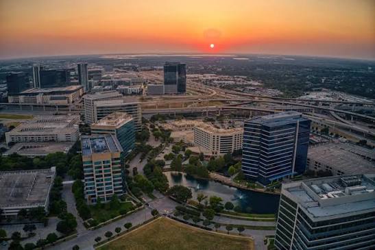 Plano Texas Pest Control
