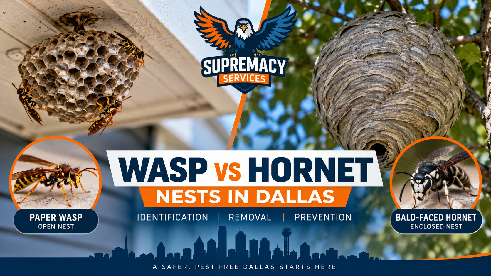 Paper wasp nest under a home eave compared with an enclosed bald-faced hornet nest in Dallas.