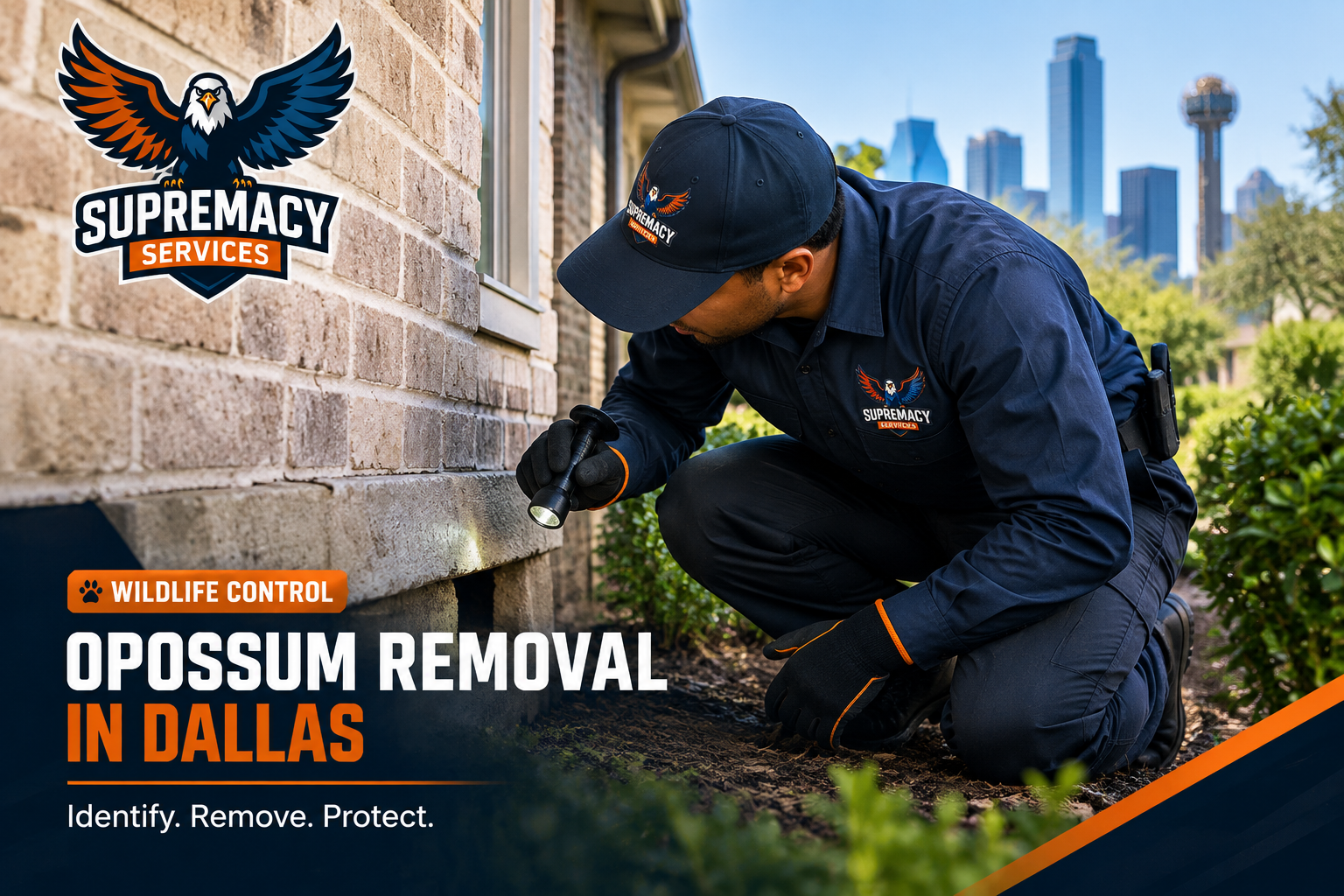 Supremacy Services technician inspecting a Dallas home for opossum entry points