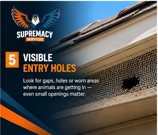 Visible opening beneath a roof where wildlife may enter an attic