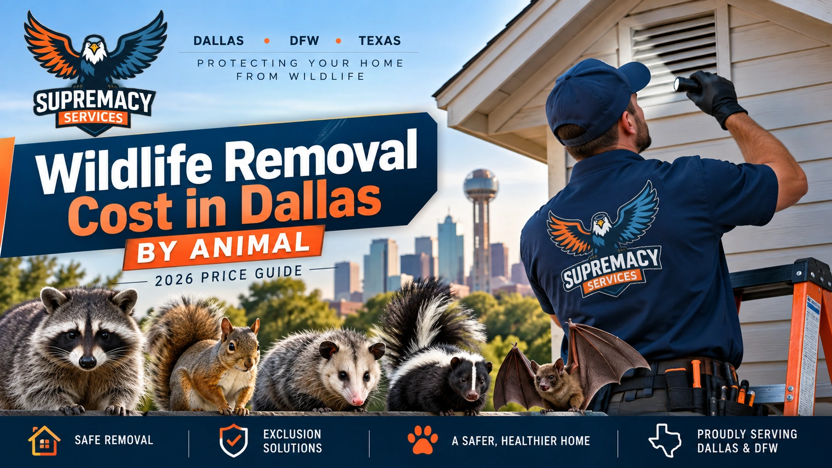 Wildlife removal technician inspecting a Dallas home with raccoon, squirrel, opossum, skunk and bat