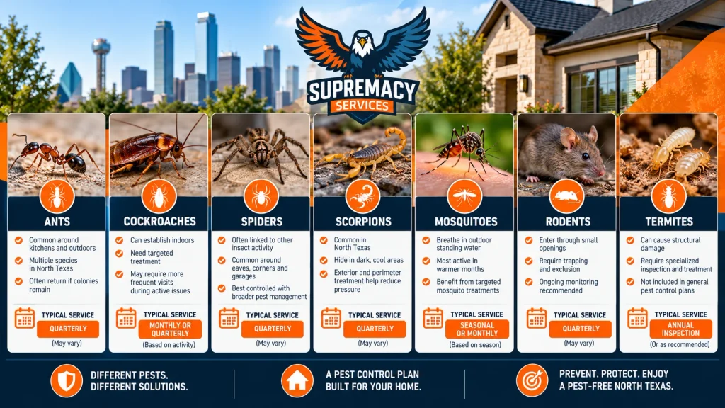 Ants, cockroaches, spiders, scorpions, mosquitoes, rodents and termites commonly encountered around North Texas homes